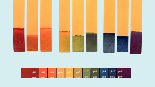The Role of pH Balance in Scalp Health: Why It Matters
