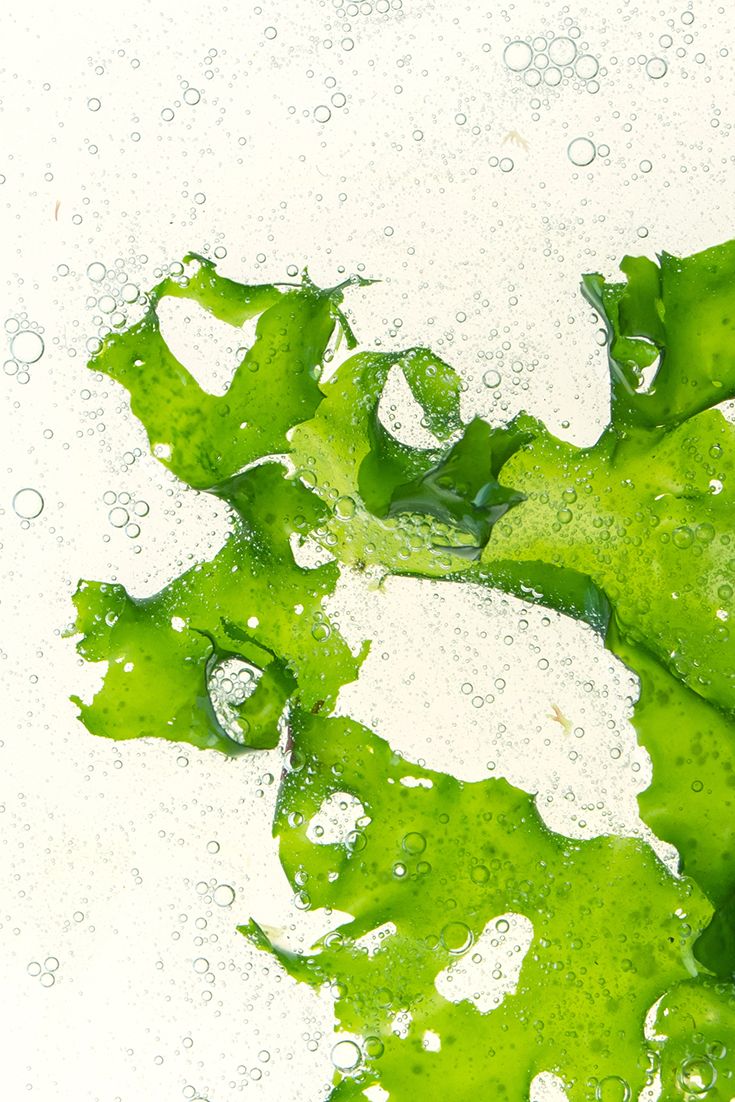 Green walnut - bioactive compounds for balanced scalp microbiome