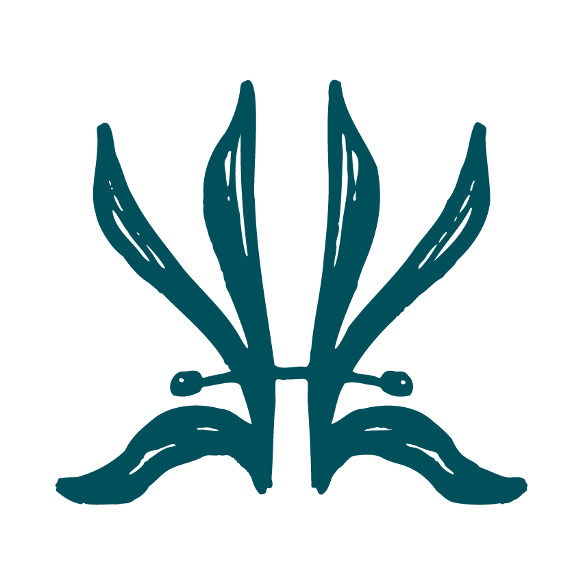 HairKind Club feature